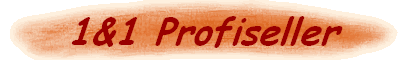 1&1 Profiseller